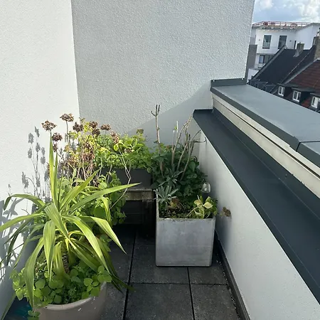 Appartement Penthouse At Cathedral